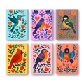 Coffret "Piou-piou" – 6 peintures par numéro