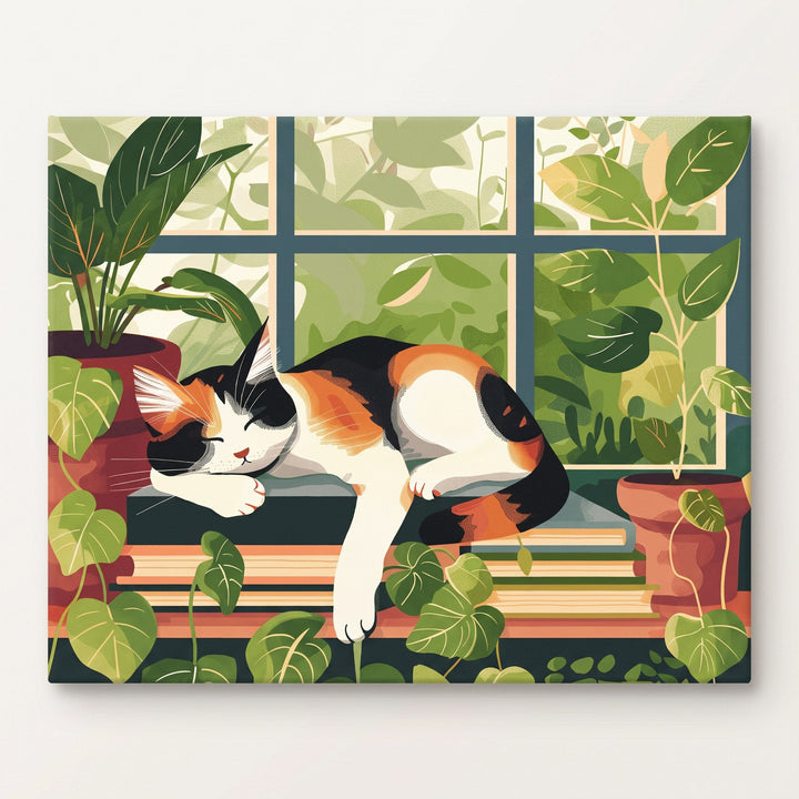 Chat Endormi à la Fenêtre | Peinture par numéro 30×40 cm