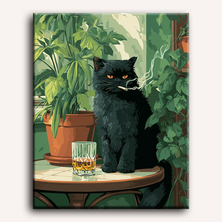 Chat noir au bar | Peinture par numéro 30×40 cm