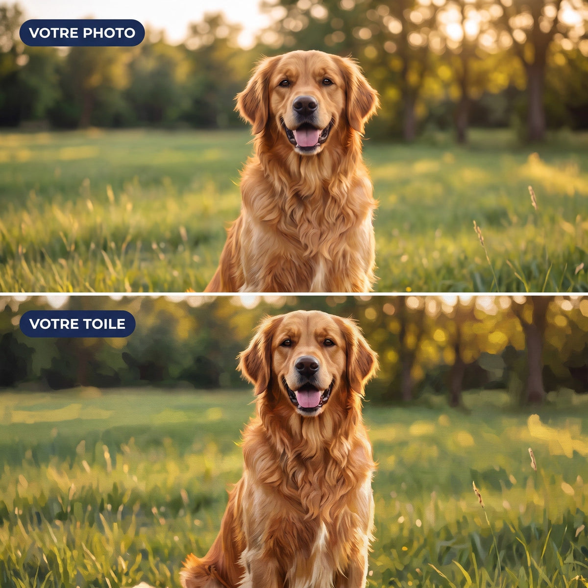 Votre Chien en Peinture par Numéro Personnalisée