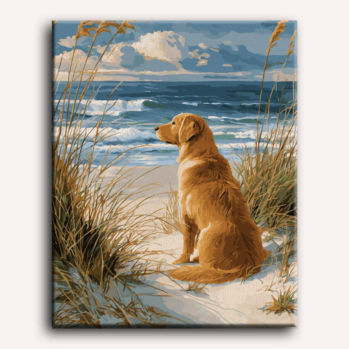 Golden Retriever à la Plage | Peinture par numéro 30×40 cm