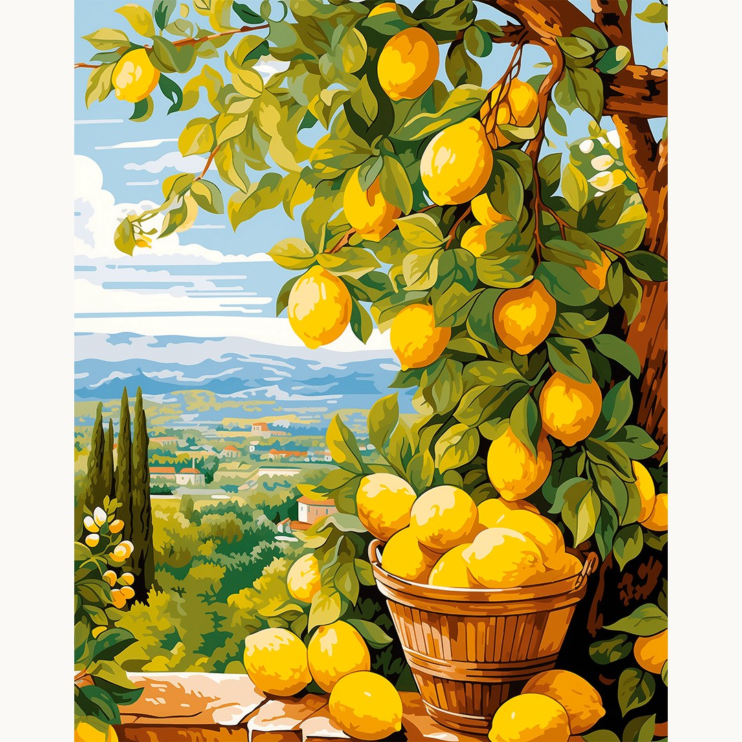 Récolte de citrons | Peinture par numéro 30×40 cm