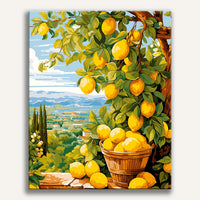 Récolte de citrons | Peinture par numéro 30×40 cm