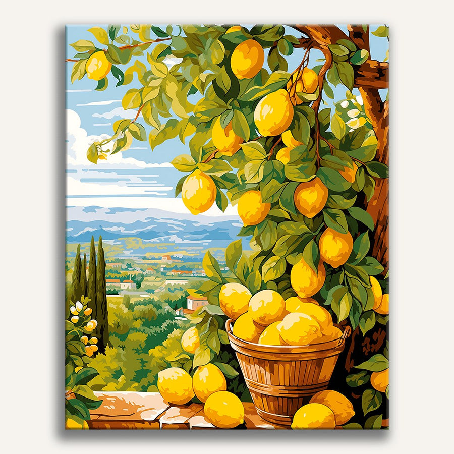 Récolte de citrons | Peinture par numéro 30×40 cm terminé